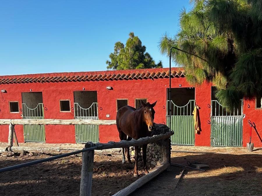 Buen Paso Villa Icod De Los Vinos Bagian luar foto
